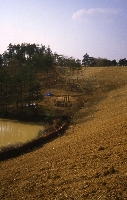 上鳴井１号窯跡　遠景