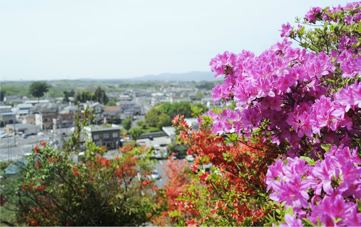 鳩山町の風景