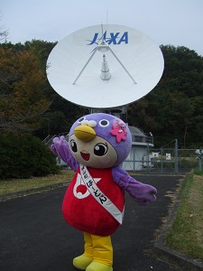 パラボラアンテナとポーズ