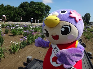 歩くところも整備されていて