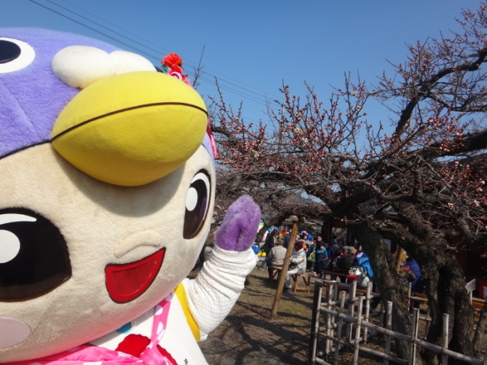 梅とはーとん