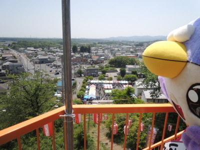 展望台からの景色