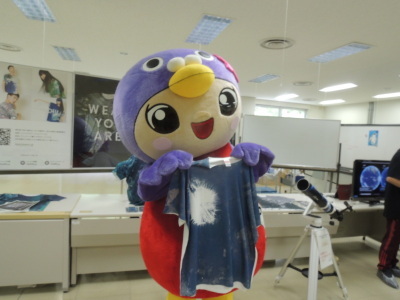 衛星画像Tシャツとはーとん