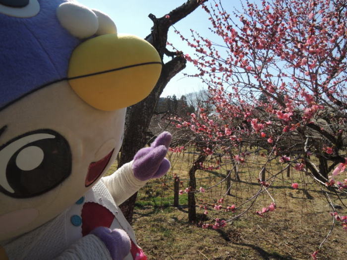 梅とはーとん!