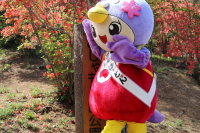 はーとん頑張ってのぼります