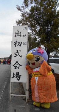 出初式看板とはーとん