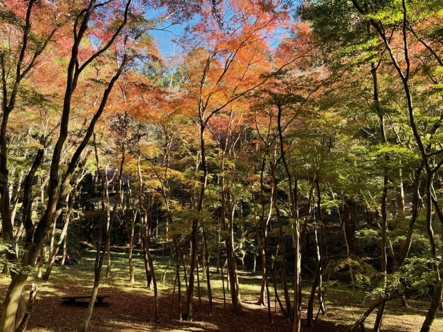 高野倉ふれあい自然公園3