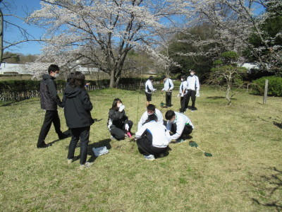 植樹の様子2