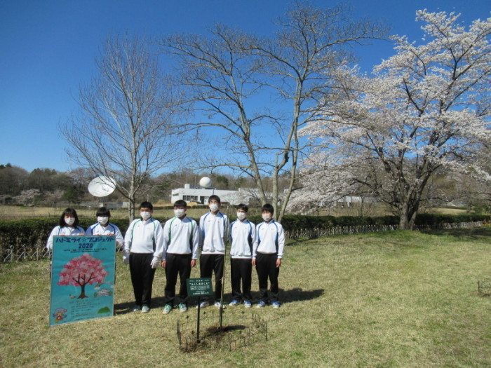 植樹の様子