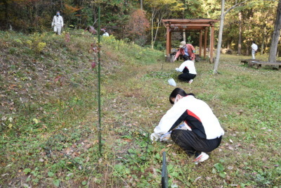 「里山環境保全活動・石坂の森の除草作業」(2回目)3