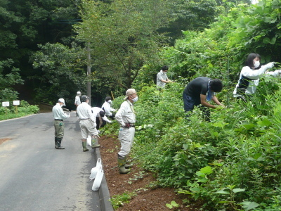 「里山環境保全活動・石坂の森の除草作業」(1回目)2