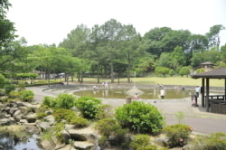 農村公園