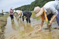 「食の恵みを実感 自然に囲まれて農業に挑戦」