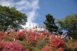 おしゃもじ山公園風景