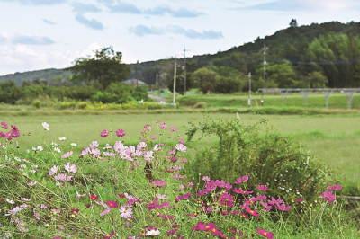 亀井・今宿地区