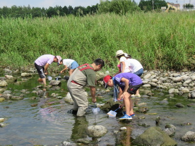 生き物採集