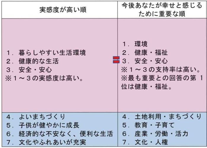 分野別実感度と今後幸せと感じるために重要な分野