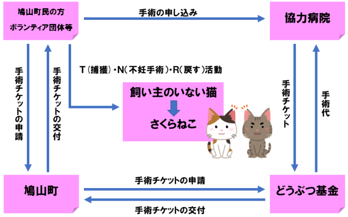 さくらねこ事業の流れ 