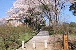 観光情報_おしゃもじ山公園