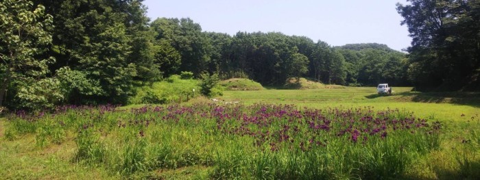 菱沼谷津田