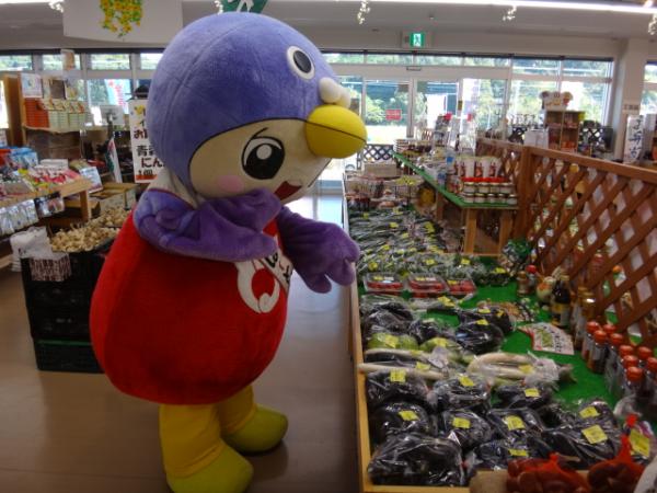 農産物を見学