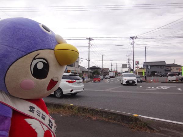 見守ってます