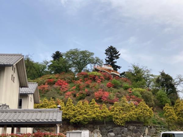 おしゃもじ山公園全景