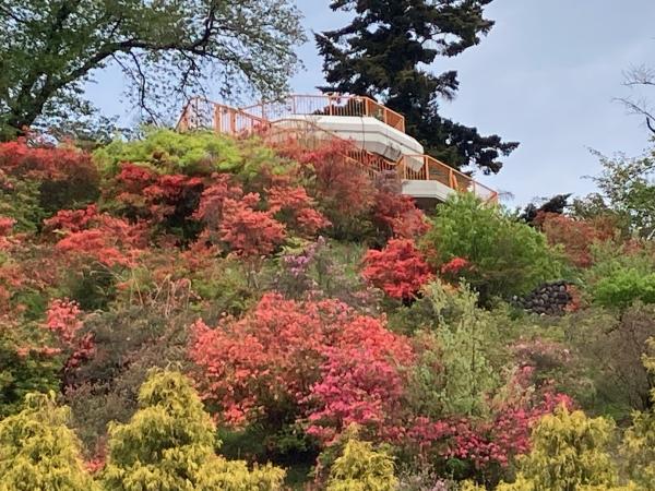 おしゃもじ山公園全景を拡大撮影