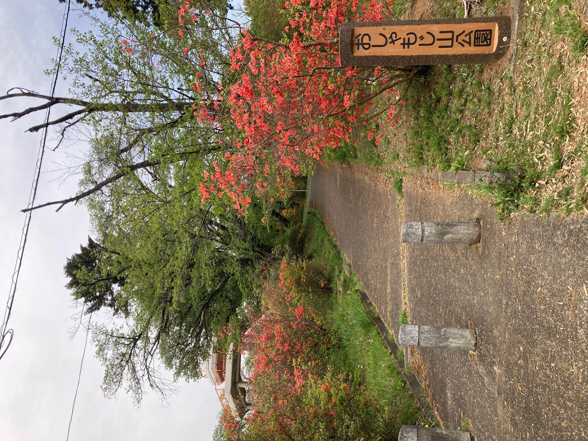 おしゃもじ山公園入口