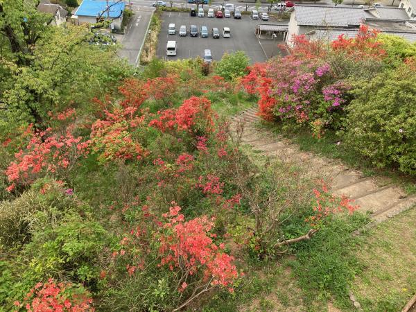 おしゃもじ山公園内の様子3