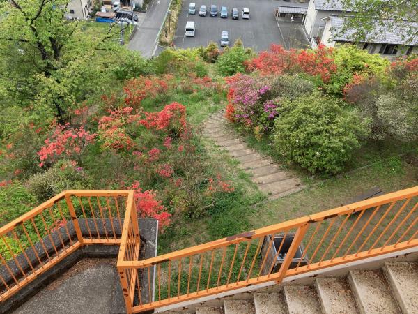 おしゃもじ山公園展望台から見下ろす