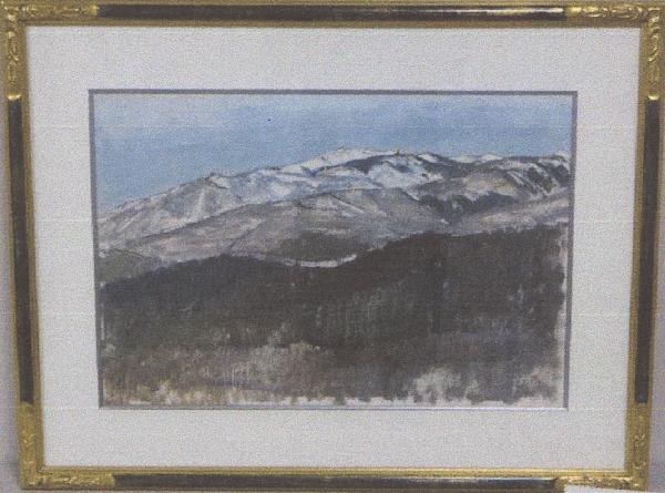 公売４