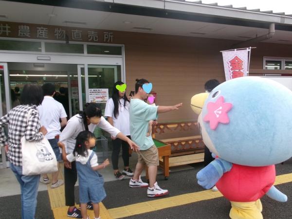 サンプル画像
