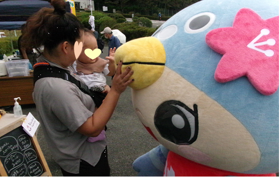 R6JAXA(9)