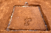 小谷遺跡6