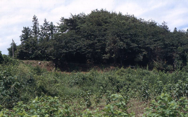 山下遺跡2