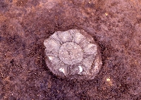 石田遺跡11