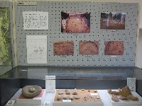 多世代活動交流センター展示品1