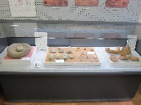 多世代活動交流センター展示品2