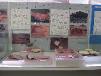 多世代活動交流センター展示品6