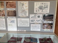 農村公園展示品5