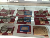 農村公園展示品6