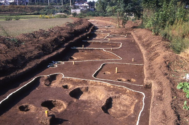 糀谷遺跡第２次_全景