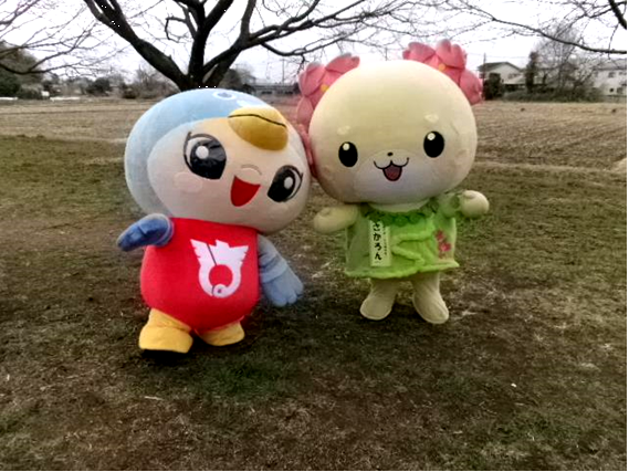 第11回桜まつり9