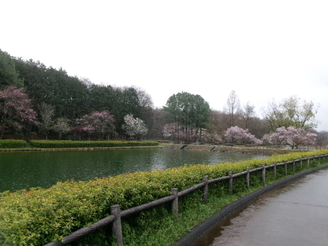 農村公園 雨