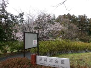 逆川沼公園