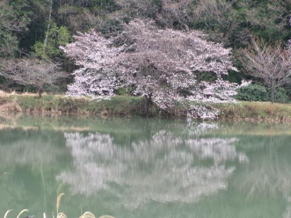 R7東山沼