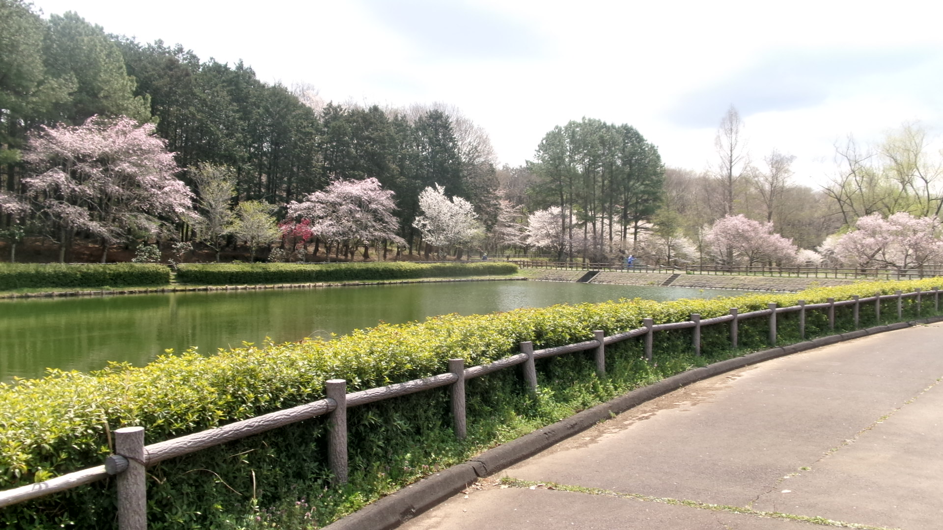 農村公園2