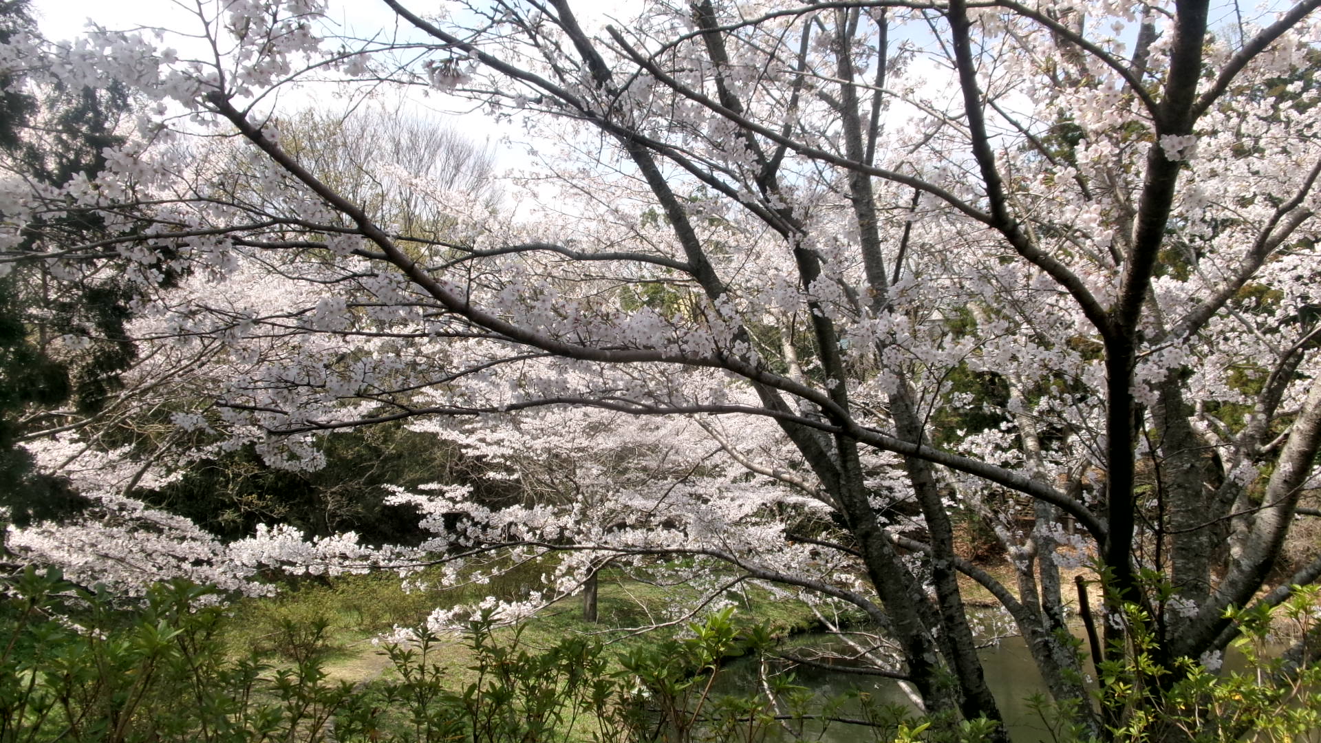 逆川2