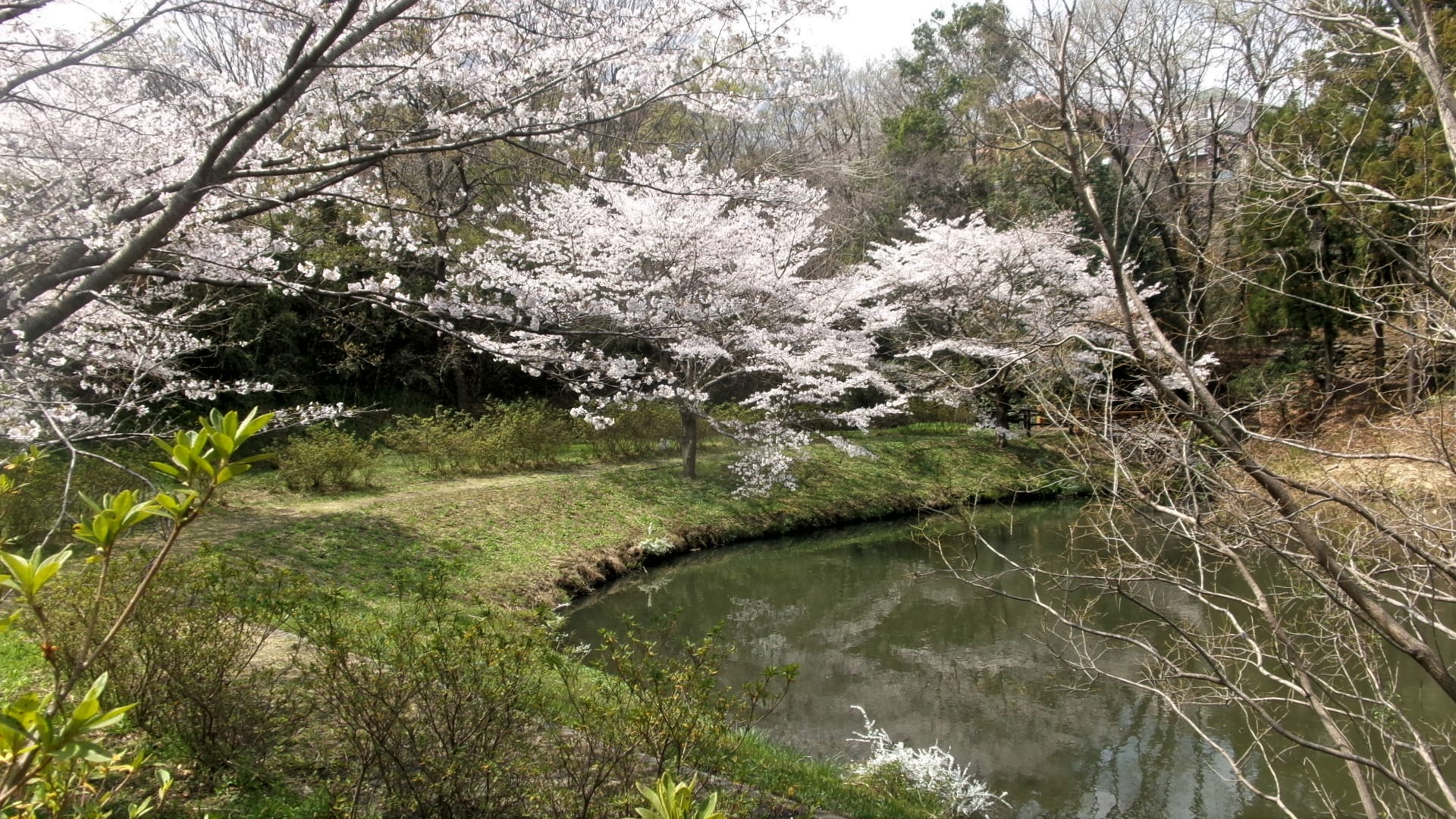 逆川3